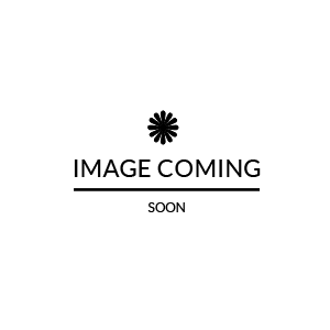 Image coming soon